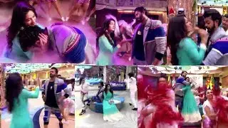 big boss12 : Last Dance Of Sreesant Dipika Kakkar | Finale Performance | Dipi-Sree Performance