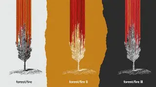 forest/fire I, II, & III - Man With Roses (Full trilogy stream)