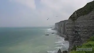 001796 // &Eacute;tretat cliffs France - Video bird watching opportunity!