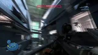 Halo MCCR