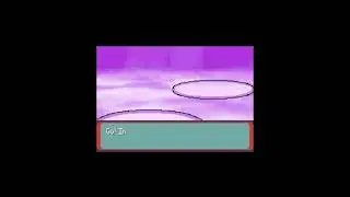 POKEMON RUN&BUN - RIVAL MAY BRIDGE