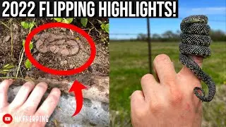 11 Minutes of Flipping Tin, Rocks, and Boards in Search of Snakes! 2022 NKFherping Highlights