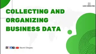 How to Collect and Organize Your Business Data