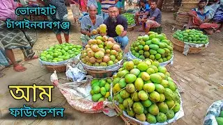 🇧🇩 আমের রাজধানী ভোলাহাট চাঁপাইনবাবগঞ্জ || আম ফাউন্ডেশন || Omar Vlog@SalahuddinSumon