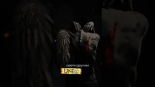 4k video / 4к видео.