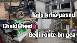 Ajj feed lee k ayy//tail krlia psand//tractor msaa start krea😩//gepsy kalii