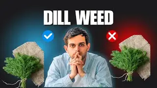 Is Dill Weed good or bad for your Health