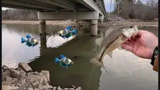 Рыбалка на зимнего окуня и краппи