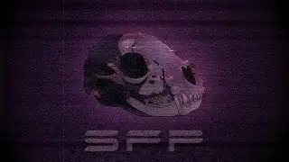 SFP (Album Premiere)