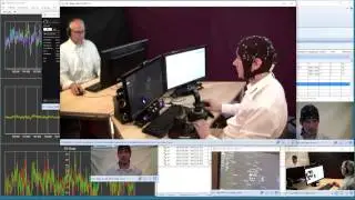 Mangold EEG Study Example