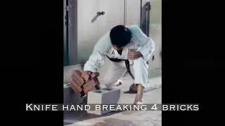 Slideshow about Grand Master Chang Jin Kang | 1958 to present