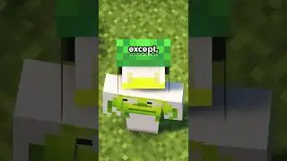 How Dream Played Minecraft Twice At Once