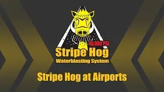 Stripe Hog at Airports Overview