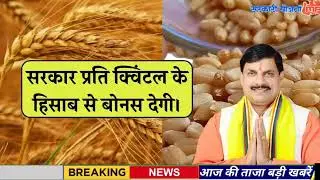 13 February 2026 | Madhya Pradesh News Today | Aaj Ki 25 Sabse Badi Khabrein | Breaking News Today