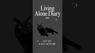 Cat Sitting in Berlin | Solo Day Routine | Cozy Pet Moments | Quiet Life | Black Cats |