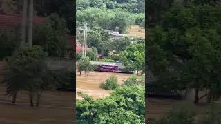 UNBELIEVABLE! 😱 House FLOATING on Chocolate River Flood! (Survival Story) #vietnam #asia