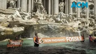 Climate activists turn Trevi Fountain black