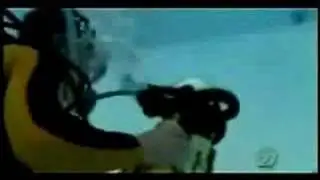 Scuba Diving Cat