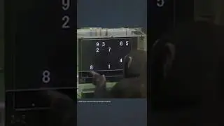 Шимпанзе превзошли людей в этом тесте на память