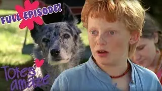 On The Edge | Snob S1 EP8 | Teen Drama Full Episodes 😱💖