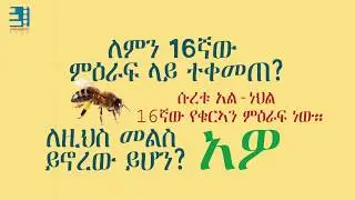 ተአምረኛዋ ንብና ቁርአን || የቁርአን ተዓምር || The amazing Bee and the Quran || #MinberTube