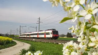 Makromix Schweiz 2023