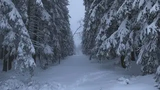 Wandeling in de sneeuw in het Winter Wonderland in de Ardennen in Belgi&euml;! - 10/01/2026