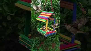 Ice cream stick house 🥰 / Bird House making at home / #shortvideo #shortsfeed #youtubeshorts