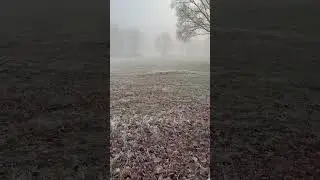 Frozen iPhone 16 PRO video #snow #nature