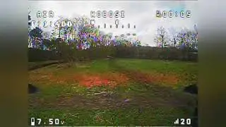 Hglrc parrot 120 pro. Fpv freestyle.