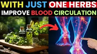 Improve Circulation! The #1 HERBS For Blood Circulation in Your Legs & Feet