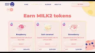 SpaceSwap Platform Review & Full Information