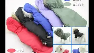 big dog clothes and sweaters