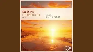 I Looking for You (VetLove Remix)