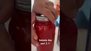 tomato day part 2 🍅 #tomatosauce #tomatosaucerecipe #italiano #italian #italianheritage #italy