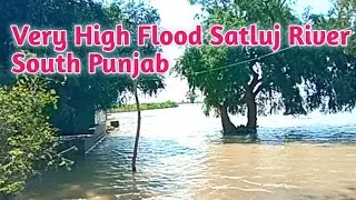 Very High Level Flood Satluj River |South Punjab Biggest Flood |Punjab Pakistan Sallab ||#Sallab