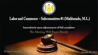 Virginia House of Delegates - Labor and Commerce Subcommittee #1 Meeting - 2026-01-20