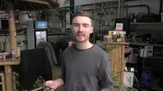 Aflevering 1 over verkochte veilingvissen Koi Development Center: w&aacute;t een ontwikkeling!