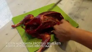 Riistalinnun k&auml;sittely osa 2: Paloittelu