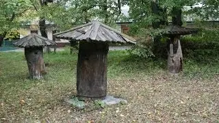 Ukraine Log Hives - Prokopovych Bee Museum