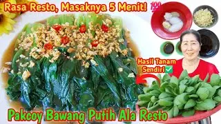 Cara Masak Sayur Pakcoy Seenak Restoran | Gampang, Cepat, & Bikin Nagih!