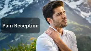 Pain Perception: A Quranic Miracle Confirmed by Modern Science #islam #islamic #islamandscience