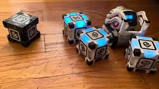 Cozmo/Vector&rsquo;s World/Hello Cozmo | Cozmo and Vector&rsquo;s Winter ❄️ Morning Play Time
