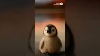 Chichi Travel The World #19 | Tiny Penguin Witnesses the Red Fuji Glow!