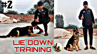 German Shepherd Training Day 2: How to train your dog 