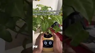 🌱 Ivy &ndash; The Adorable AI Pet Planter Robot | Smart Plant Care & Desk Buddy 🌟 | ClickWix | #click_wix