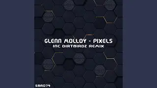 Pixels (The Dirtbirdz Hypno Dub Mix)