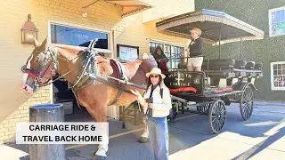 Exploring King Street Charleston + Historic Carriage Tour | Charleston Travel Vlog | November 2025