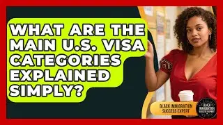 What Are The Main U.S. Visa Categories Explained Simply? - Black Immigration Success Expert