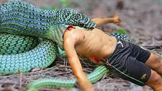 EASY SNAKE TRAP 🪤  DIY Snake Trapping Using Bike Crank Work 100% #snaketrap